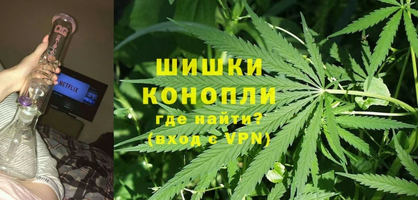 эйфоретик Арсеньев