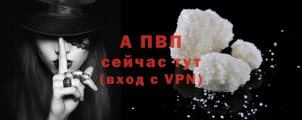 эйфоретик Арсеньев