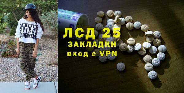 прущие грибы Армянск