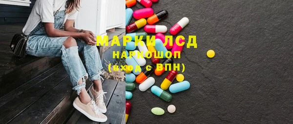 прущие грибы Армянск