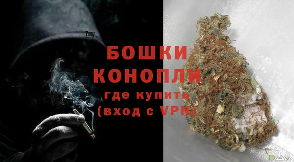 эйфоретик Арсеньев