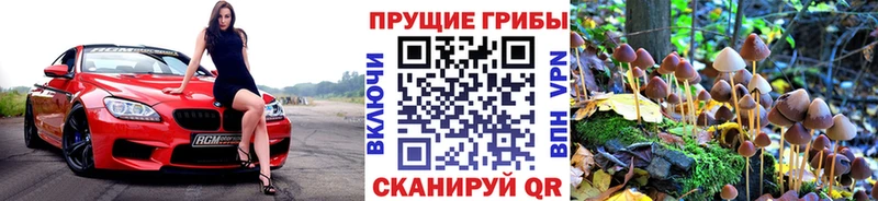 Галлюциногенные грибы Cubensis  что такое наркотик  Ухта 