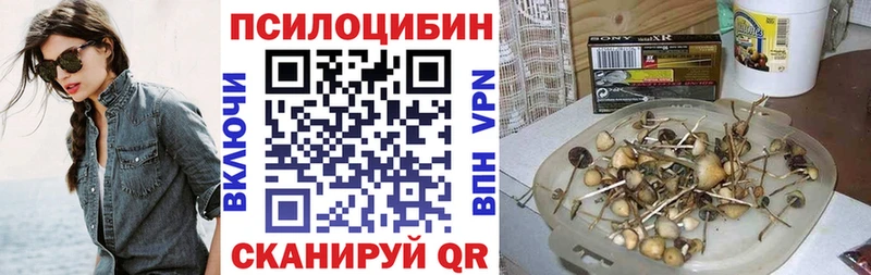 Псилоцибиновые грибы Psilocybine cubensis Ухта