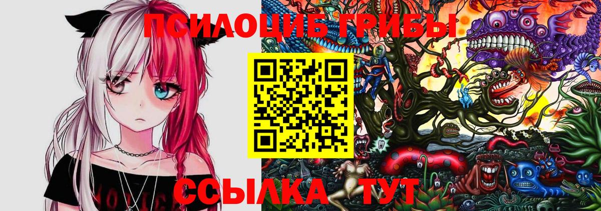 Галлюциногенные грибы ЛСД Ухта