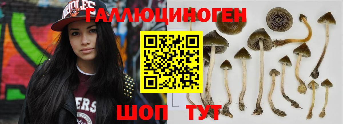Ухта  Псилоцибиновые грибы Cubensis  Псилоцибиновые грибы прущие грибы  Вход с VPN 